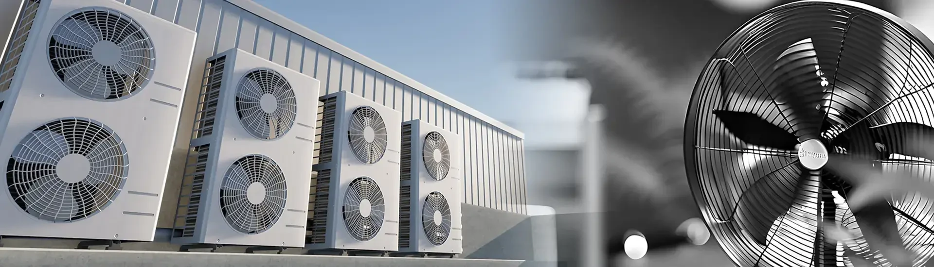 हमारे बारे में